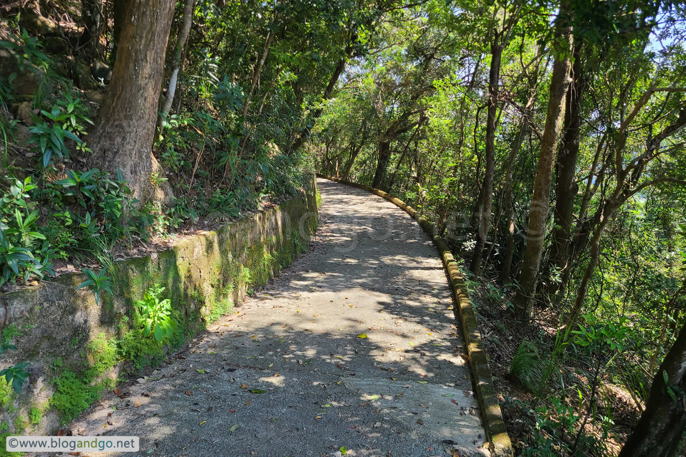 HK Trail 4 - Middle Gap Road
